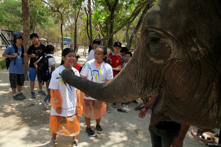 Lucky, an elephant in Phnom Tamao Wildlife Rescue Center in Cambodia, has been battling a series of illnesses that could be fatal. To raise money for treatment, her handlers auctioned two of the talented pachyderm’s paintings.