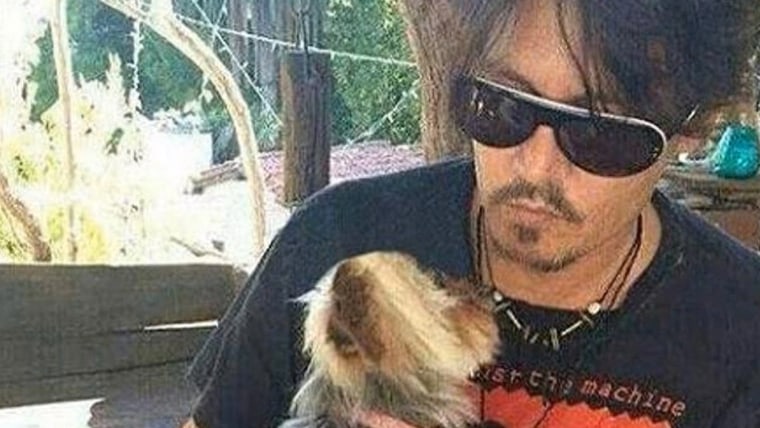 Australian government threatens to euthanize Johnny Depp’s dogs