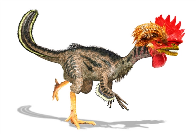 Image: Dino-chicken illustration