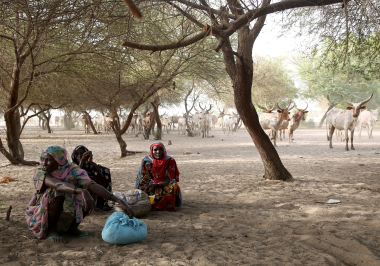 Refugees and displaced people rest in the shade amid temperatures of around 110 degrees on Koulfoua island in Lake Chad.