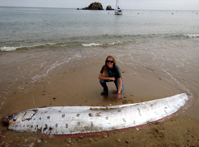 Image: Oarfish that washed up dead on the beach of Catalina Island, California