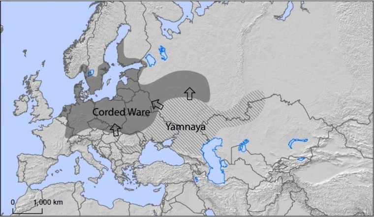 Image: Yamnaya migration