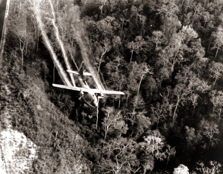 A U.S. Air Force C-123 flies low along a South Vietnamese highway spraying defoliants on dense jungle growth beside the road to eliminate ambush sites for the Viet Cong during the Vietnam War in May 1966. 