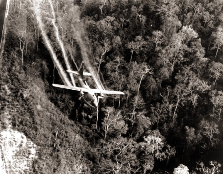 a U.S. Air Force C-123 flies low along a South Vietnamese highway spraying defoliants on dense jungle growth beside the road to eliminate ambush sites for the Viet Cong during the Vietnam War in May 1966.