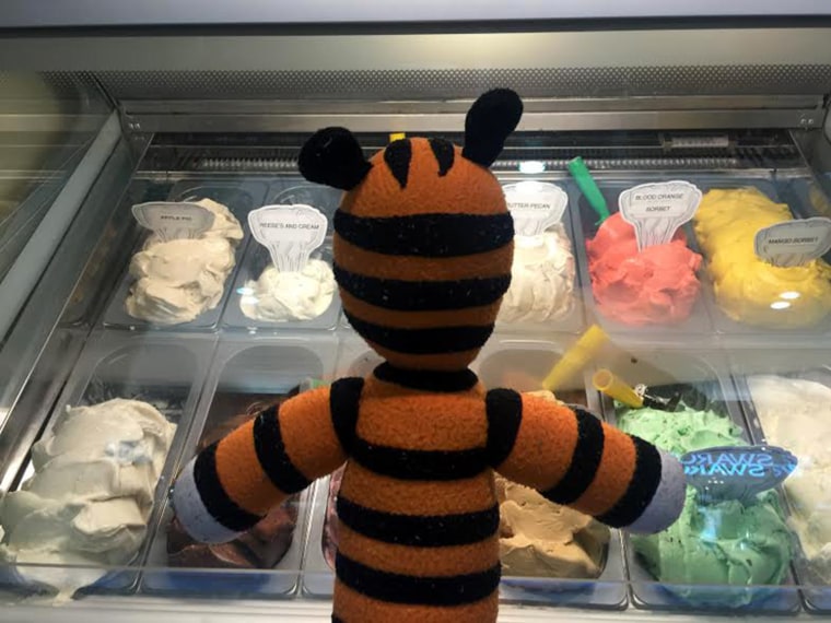 Boy’s lost stuffed tiger has experience of a lifetime while spending 6 days at the airport