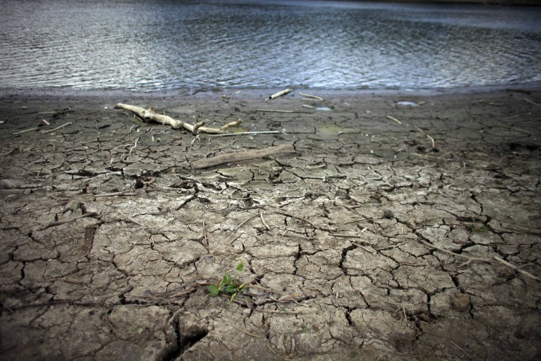 This June 15, 2015 photo shows mud cracks at the drought affected Carraizo reservoir in Trujillo Alto, Puerto Rico. Thanks to El Nino, a warming of the tropical Pacific Ocean that affects global weather, the worst drought in five years is creeping across