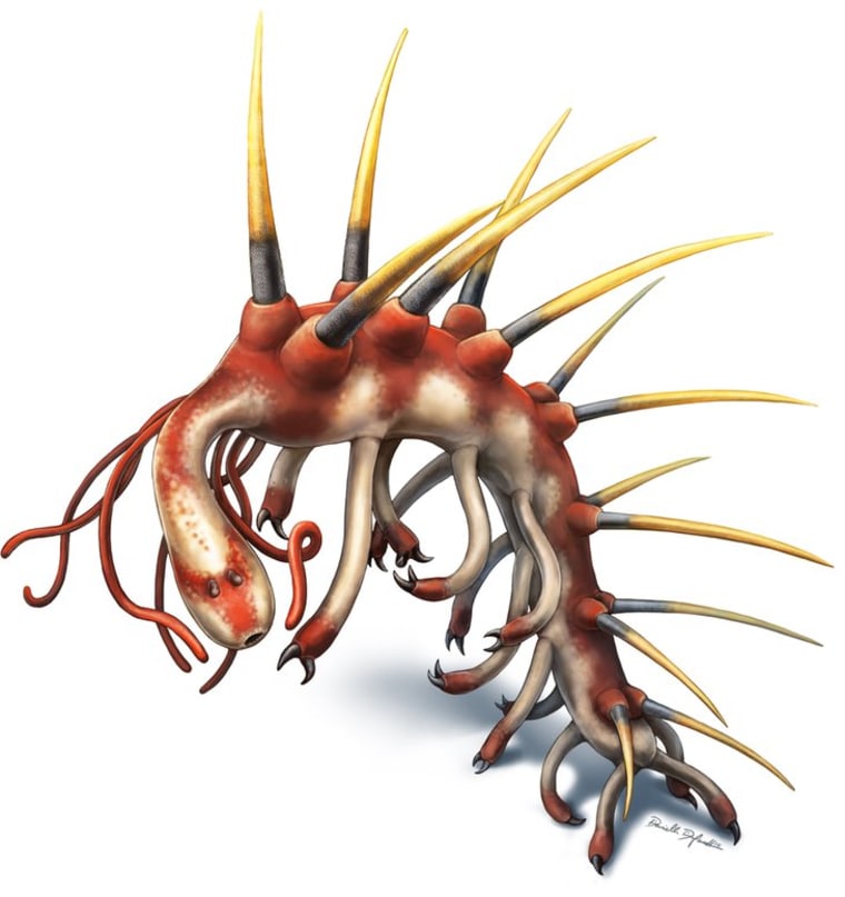Image: A rendering of a Hallucigenia sparsa worm