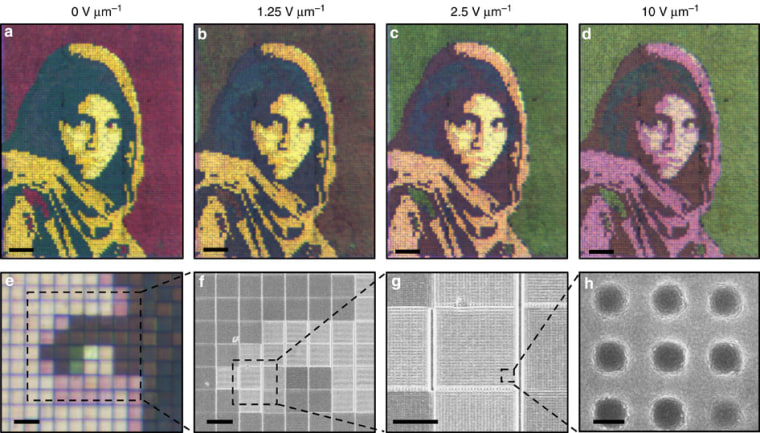 This image, about 750 micrometers across, has its color changed as a result of applying different voltages. Each individual pixel is about 10 micrometers across, and the plasmonic wells, visible at bottom right, are about 150 nanometers in diameter.