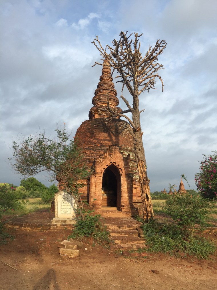 Image: Pagoda at dawn