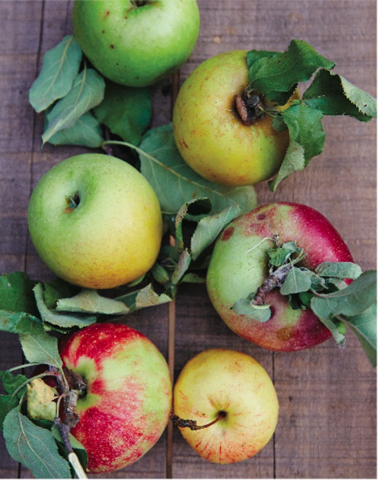 Looking for inspiration? Check out Steven Satterfield's recipe for apple jelly.