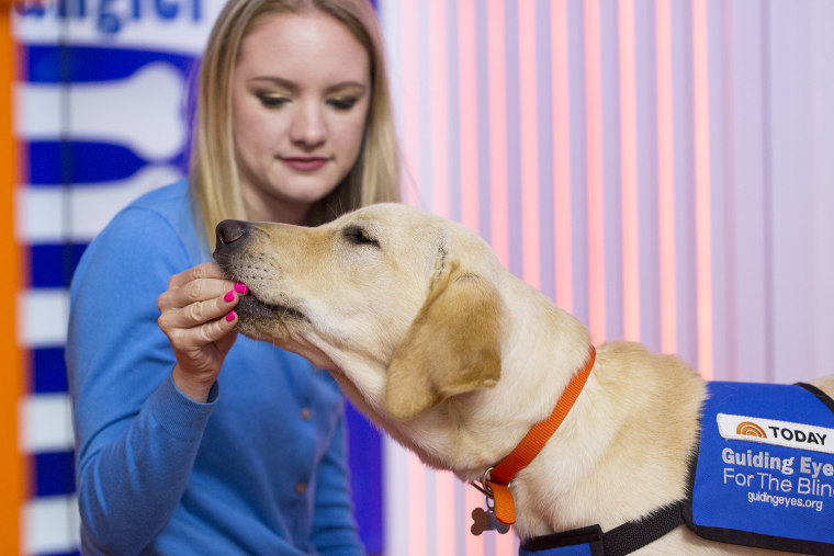 Wrangler from the TODAY show gets a treat