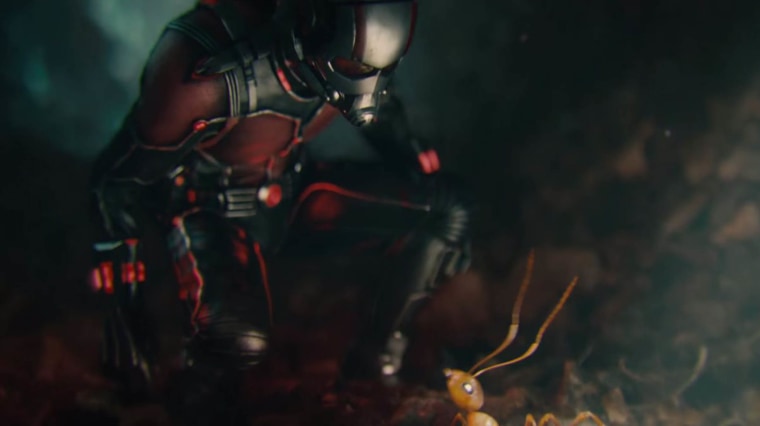Paul Rudd in "Ant-Man"