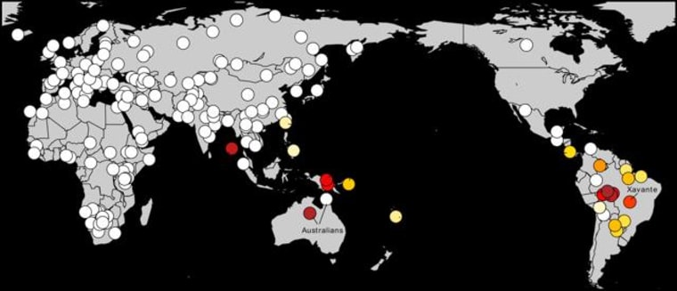 Image: Map showing genetic links between Amazonian natives in South America and Australasians