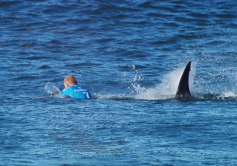 Australian surfer Mick Fanning is attacked by a shark during the Final of the JBay surf Open on Sunday on July 19, in Jeffreys Bay, South Africa.