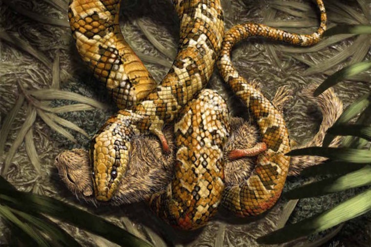 Four-Legged Snake