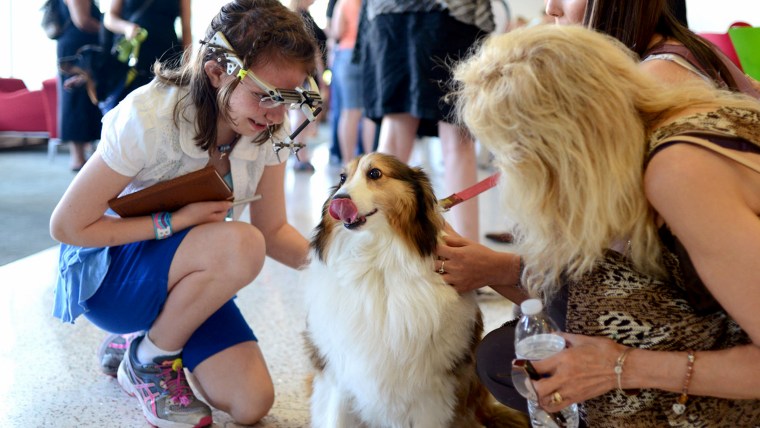 Olivia Saguache, 8, and Jasmine, a Shetland Sheepdog who had surgery to remove a craniofacial tumor.