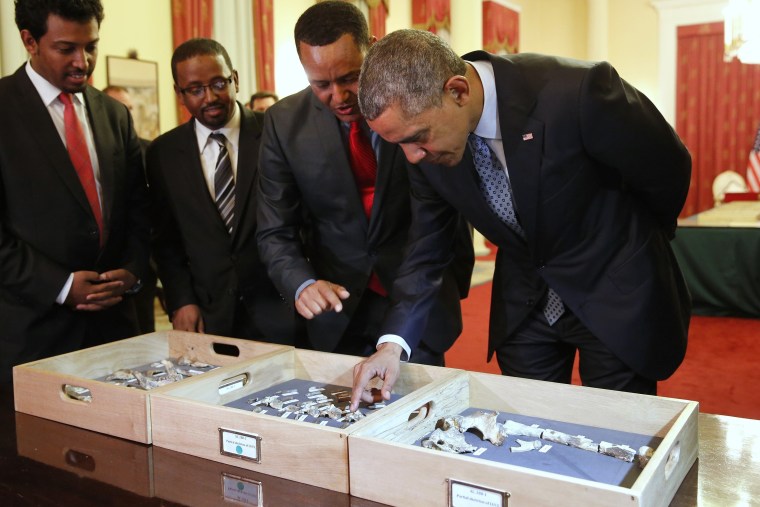 Image: President Obama looks a fossilized vertebra of Lucy, an early human