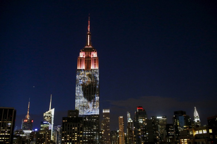 Image: An image of Cecil the lion is projected onto the Empire State Building as part of an endangered species projection to raise awareness, in New York