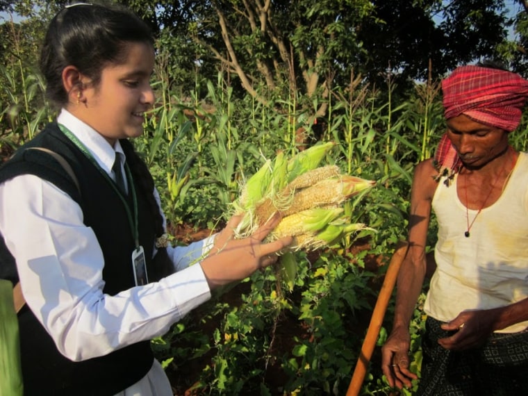 Prasida collects cobs for use in her experiments - they'll be dried, charred, powdered, and otherwise modified to perform various tasks.