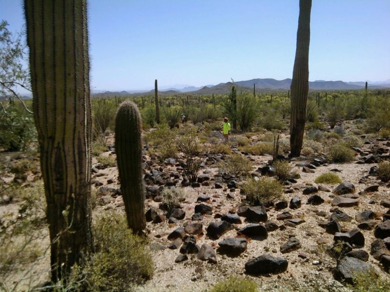Arizona desert during recent search