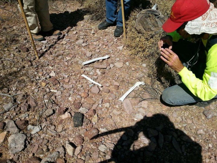 Bones found in desert during search