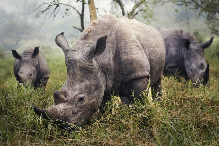 See the top 10 winners from National Geographic's traveler photo contest