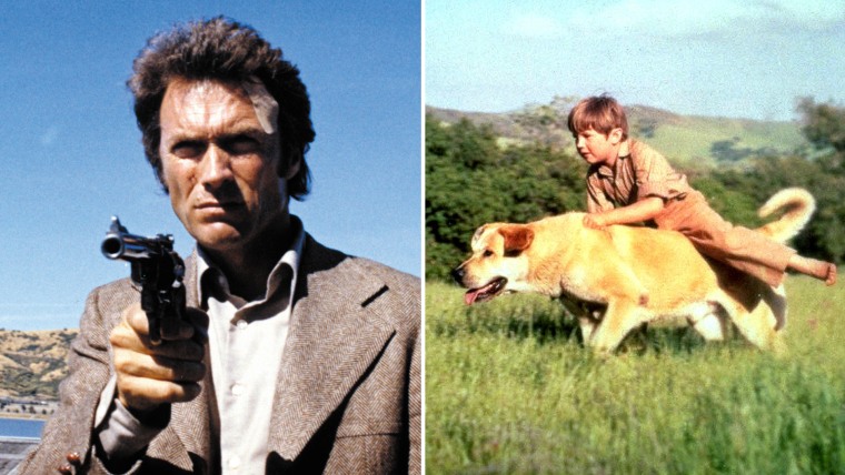 Dirty Harry and Old Yeller