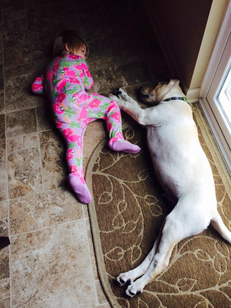 Dog and baby asleep on the floor