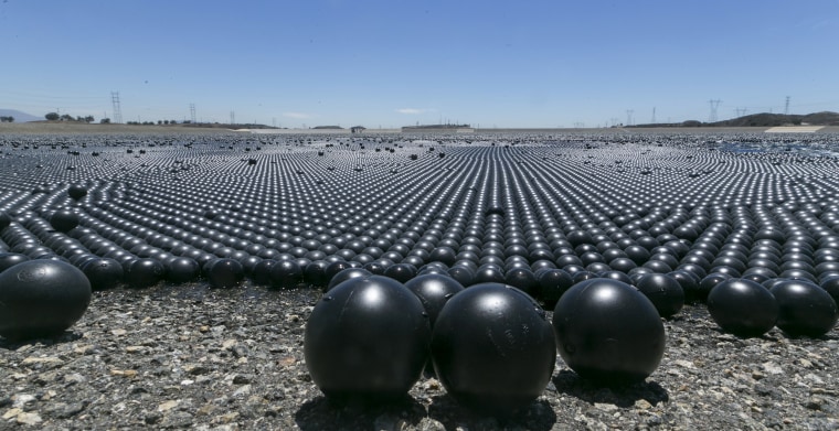 Great Balls Of Plastic Shade Spheres Floated In La Reservoirs 0439