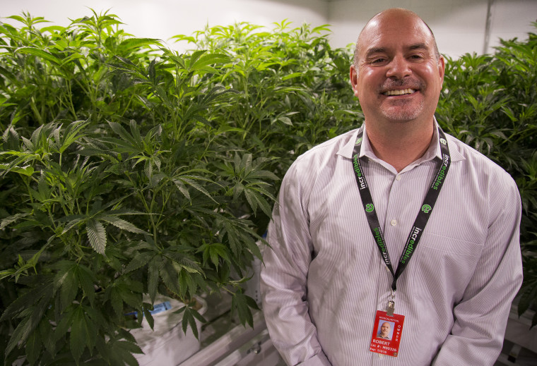 Bob Eschino, president and co-founder of Incredibles, stands with his marijuana plants.