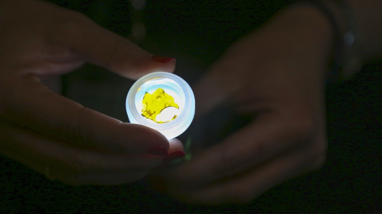 Blythe Huestis shines a light through a marijuana concentrate product sold at Natural Selections, a medical marijuana dispensary in Cave Creek, Arizona.