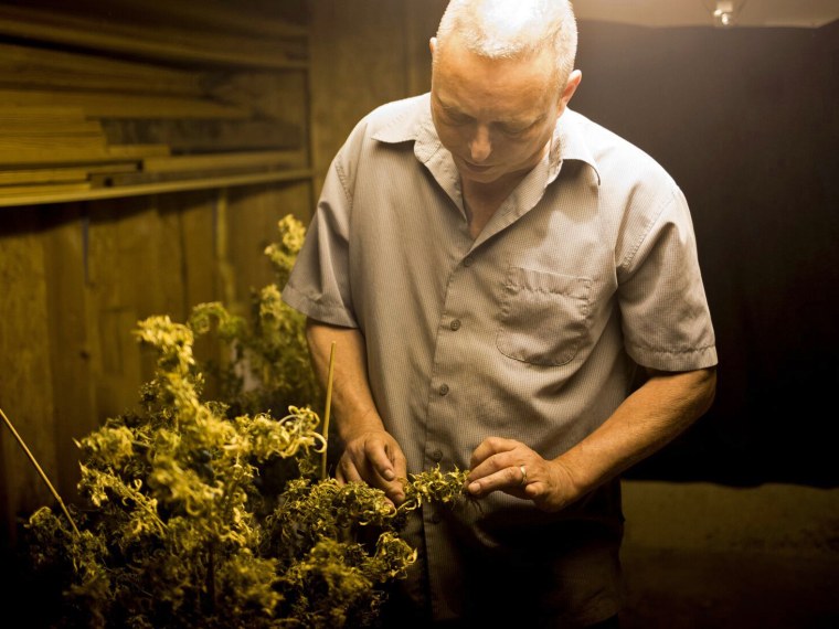 Joe Mascaro, a medical marijuana patient, grows legal marijuana for a handful of friends in his basement.