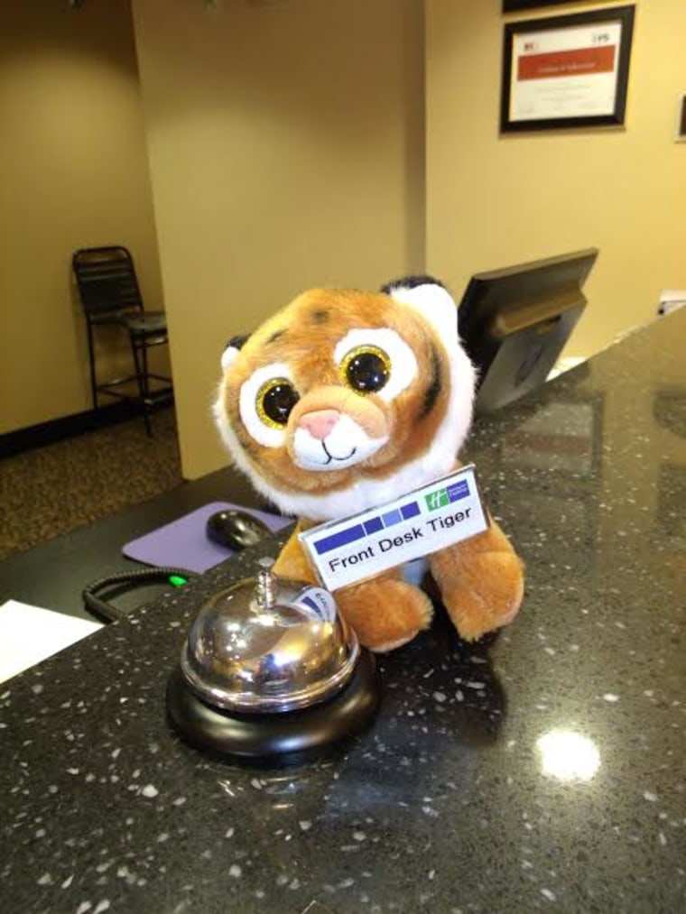 Hotel manager Brianna Kroontje sent a stuffed animal on some adventures
