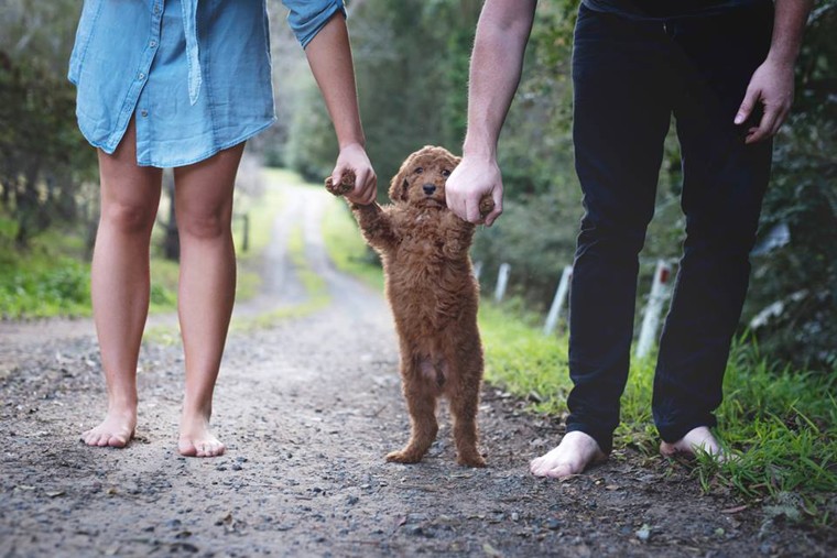 Couple poses with dog for "baby" photos