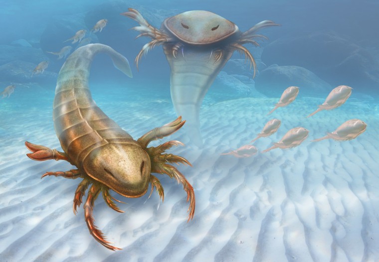 Artist's impression of how Pentecopterus might have looked in its native coastal waters.