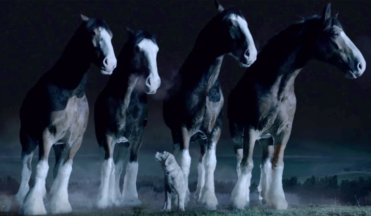 The Budweiser Clydesdales and a puppy made this Super Bowl ad a popular online draw.