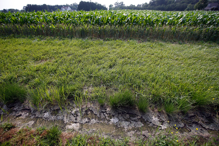 Image: A dry water ditch next to a corn field in Cordova, Md.