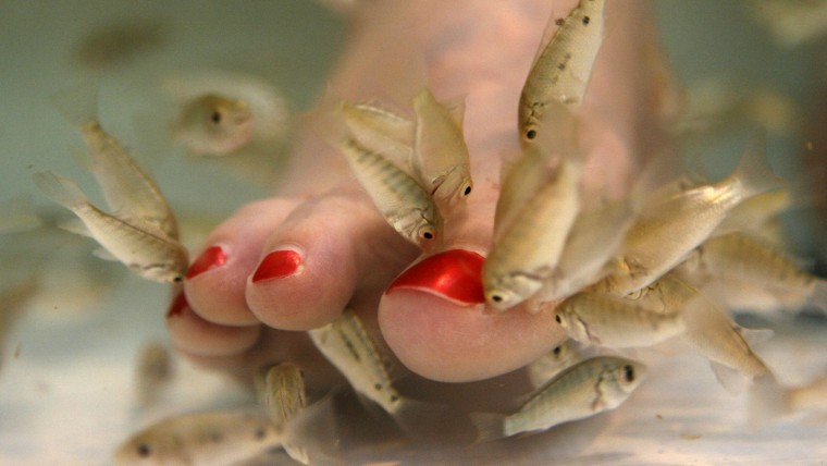 fish pedicure