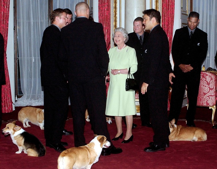 Queen Elizabeth II, with her retinue of corgis