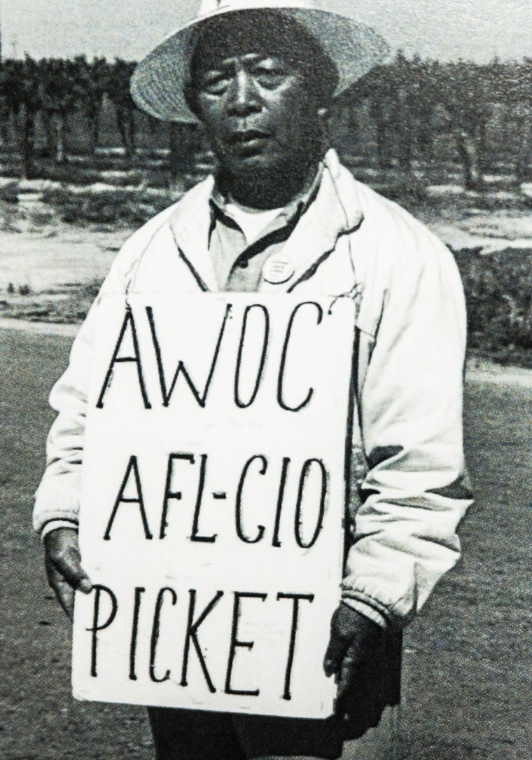 A striking Filipino worker in 1965. The AWOC was mostly Filipinos in their 60s who came to the U.S. in the 1920s as American nationals. When they found few opportunities, many became farm laborers.
