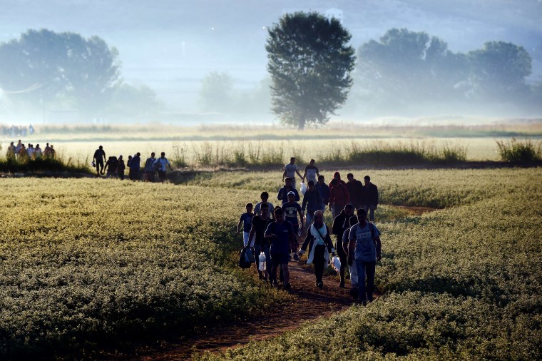 Image: Syrian refugees and migrants cross the border between Greece and Macedonia.