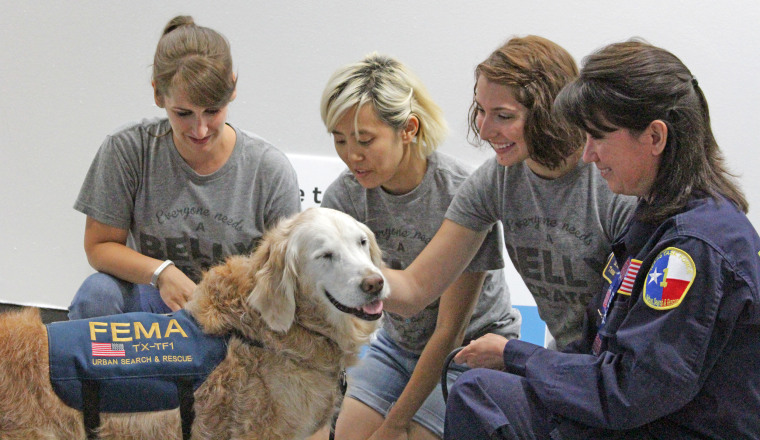 Bretagne, the 9/11 search dog from Ground Zero, turns 16