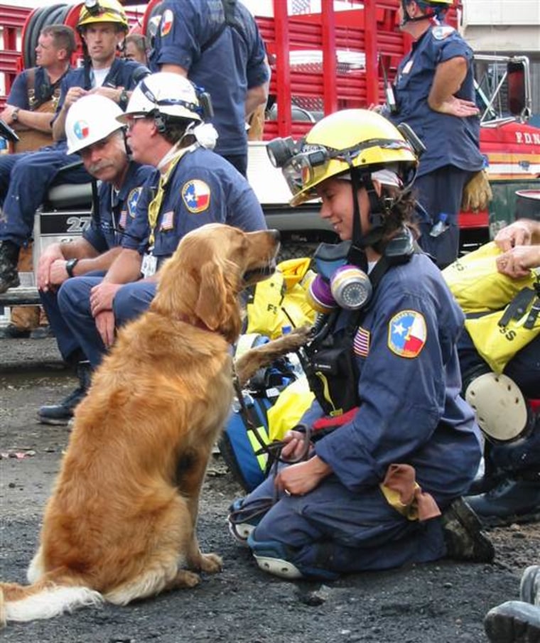 Denise Corliss is pictured with her search dog Bretagne at Ground Zero in New York City in September 2001.