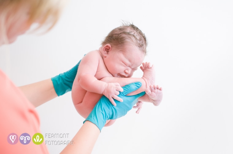 Marry Fermont photographs newborns curled up the way they were in the womb.