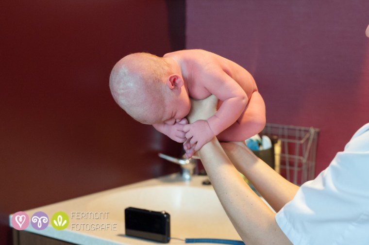 Marry Fermont photographs newborns curled up the way they were in the womb.