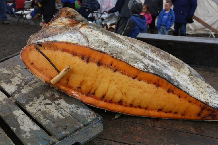 This chunk of whale meat was aged a month to be shared with visitors to Barrow, Alaska, for the annual Nalukataq whaling festival.