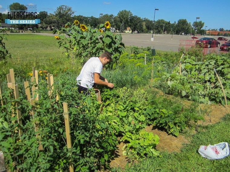 Andy George of How to Make Everything picking plants in his garden