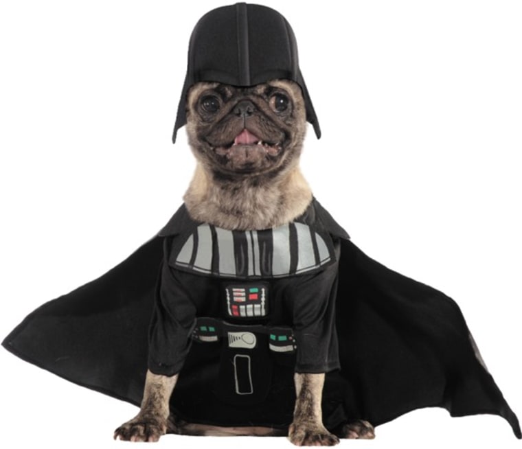 Characters from Star Wars: The Force Awakens are popular pet costumes