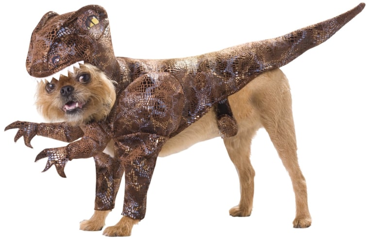 Dogs can blend into Jurassic World with these dinosaur halloween pet costumes