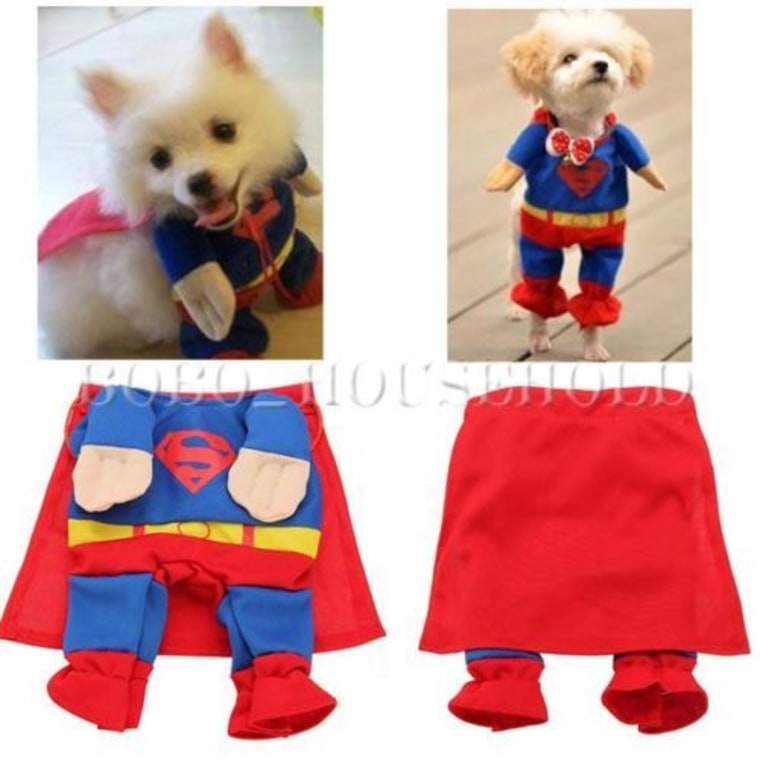 Dogs dressed up as Superman is a halloween costume favorite 
